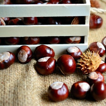 Castagne  1 KG